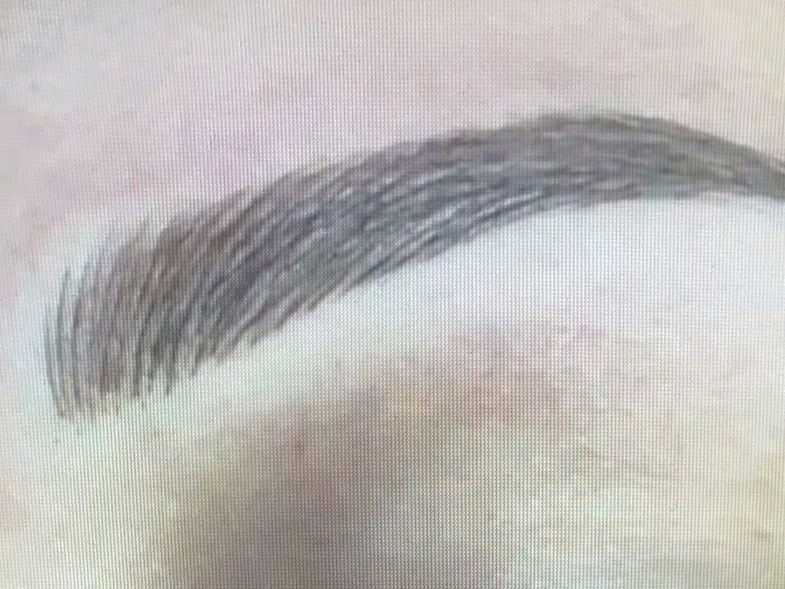 Detailed nano hair-stroke brow tattooed by Kim Pham